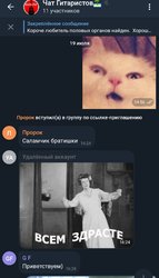 Screenshot_20190729-105722_Telegram X.jpg