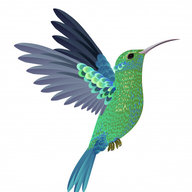 Colibri