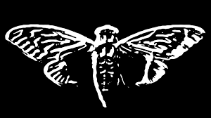 Cicada_3301