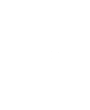 Mr. Venom