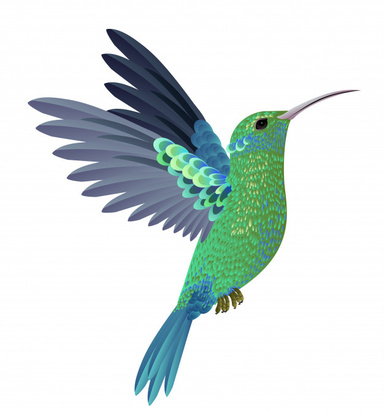 Colibri