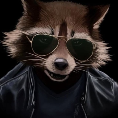 Raccoon_Smm