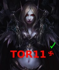 Tor11