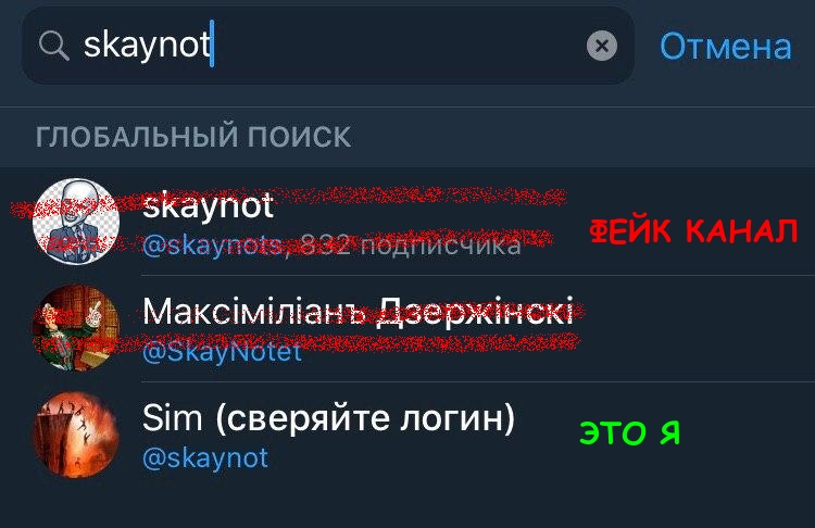 skaynot1.jpg